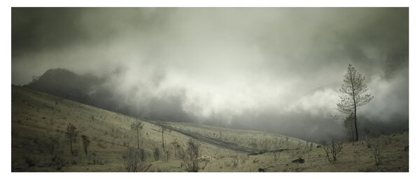 Tablou - Peisaj înainte de furtună (120x50 cm)