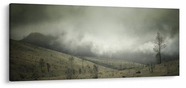 Tablou - Peisaj înainte de furtună (120x50 cm)