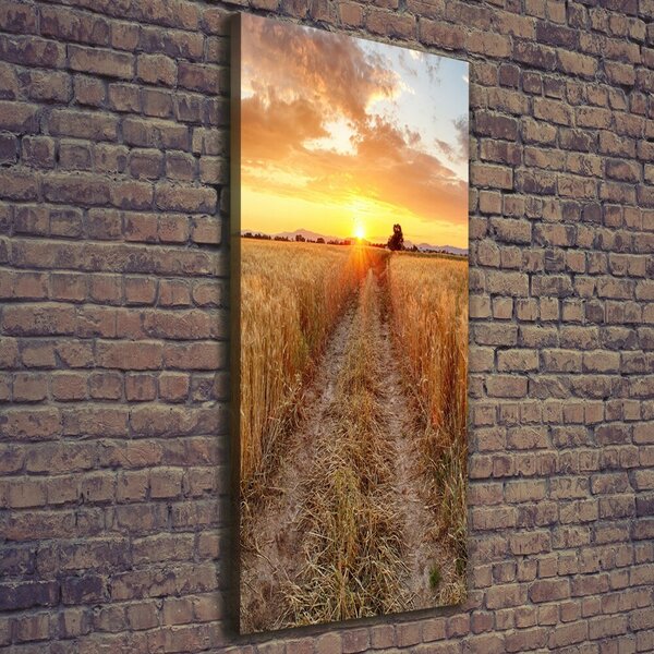 Print pe canvas Câmp de grâu