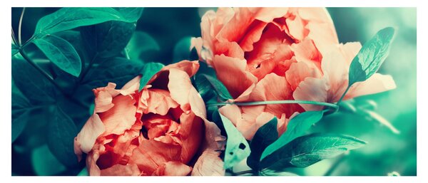 Tablou - Flori de primăvară (120x50 cm)