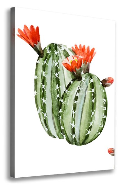 Imprimare tablou canvas cactuși