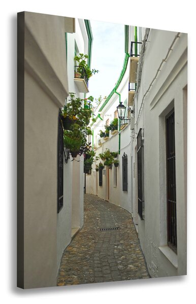 Print pe canvas străzile din Andaluzia