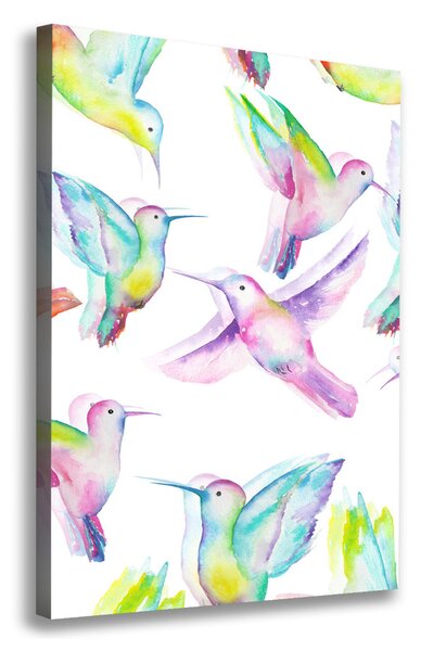 Tablou canvas colibri colorate