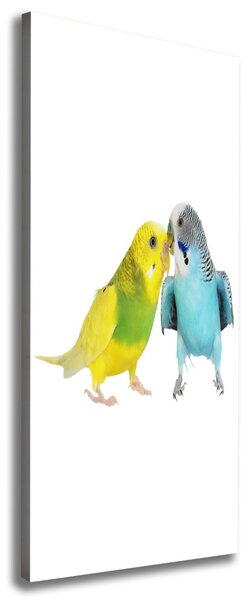 Tablou pe pânză canvas budgies