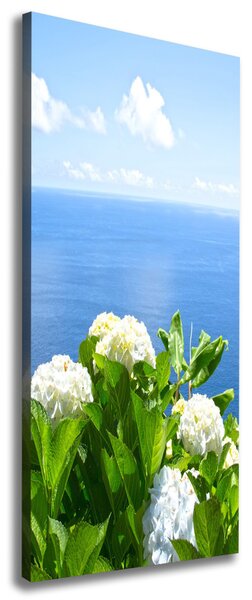 Imprimare tablou canvas hortensie mare