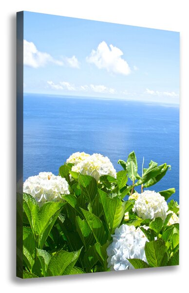 Imprimare tablou canvas hortensie mare
