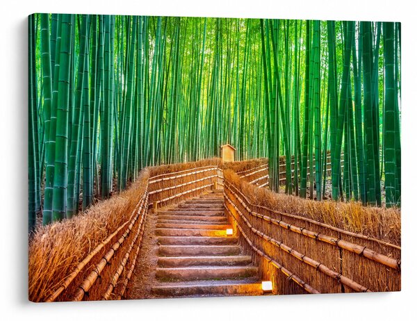 Tablou - Pădure de bambus japoneză (70x50 cm)
