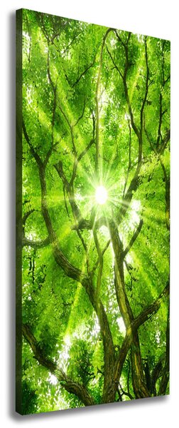 Tablou pe pânză canvas ramuri superioare ale unui copac