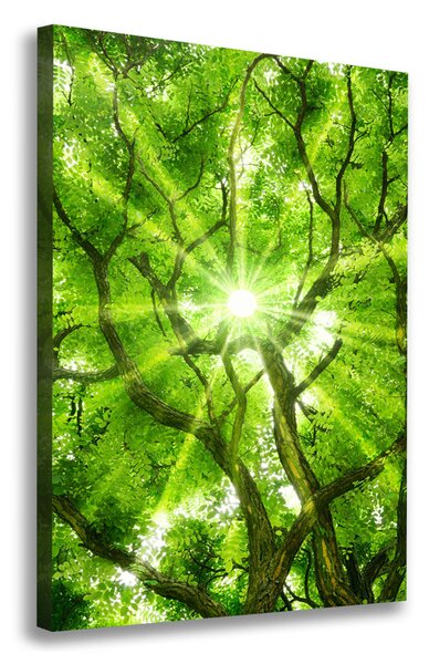 Tablou pe pânză canvas ramuri superioare ale unui copac