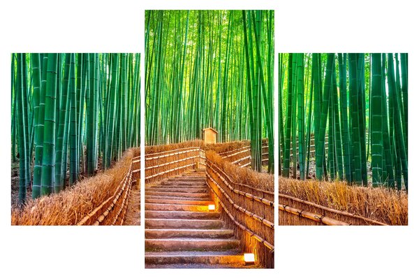 Tablou - Pădure de bambus japoneză (90x60 cm)