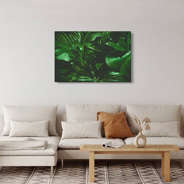 Tablou - Frunze de palmier (90x60 cm)