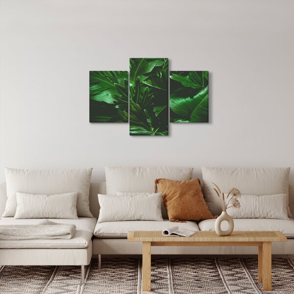 Tablou - Frunze de palmier (90x60 cm)