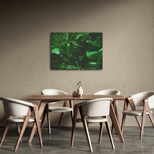 Tablou - Frunze de palmier (70x50 cm)