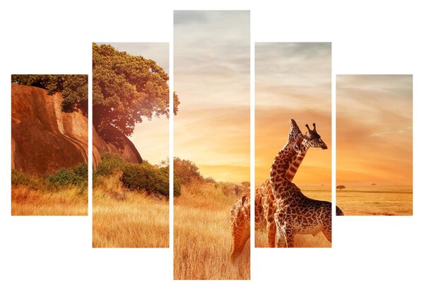 Tablou Girafe în Africa (150x105 cm)