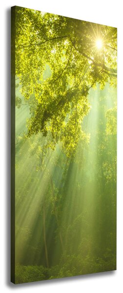 Tablou pe pânză canvas Soare în pădure