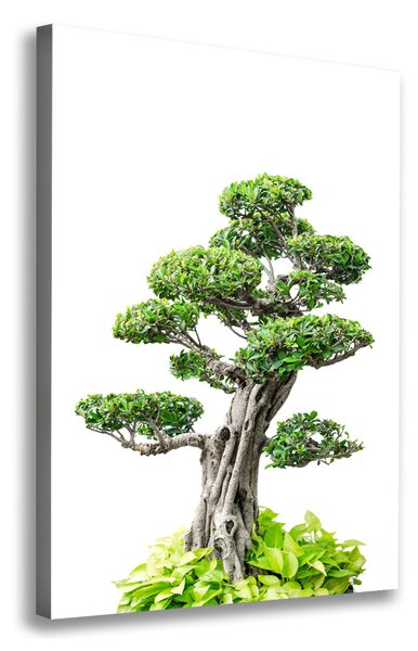 Pictură pe pânză copac bonsai