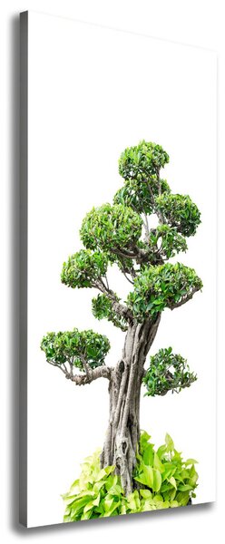 Pictură pe pânză copac bonsai