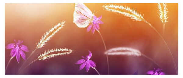 Tablou - Fluture roz (120x50 cm)