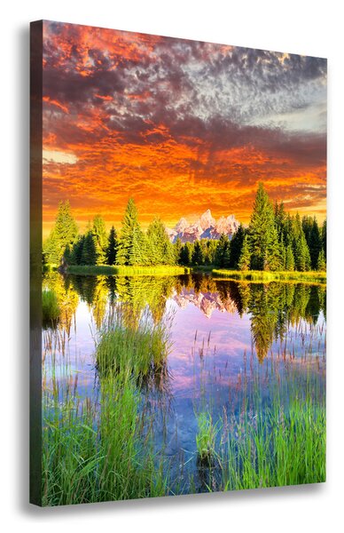 Tablou pe pânză canvas Lacul în pădure