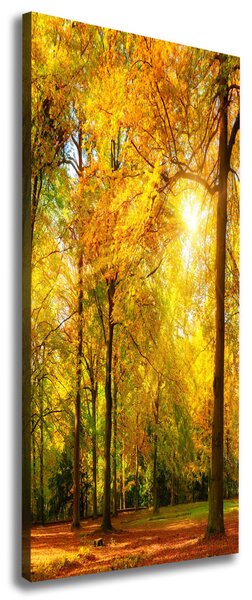 Tablou canvas pădure în toamna