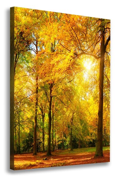Tablou canvas pădure în toamna