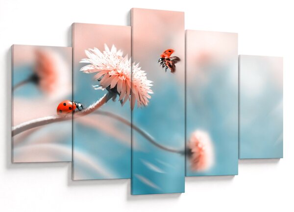 Tablou - Buburuze pe floare (150x105 cm)