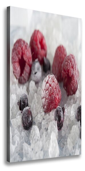 Pictură pe pânză fructe congelate