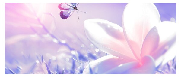 Tablou - Fluture lângă floare (120x50 cm)