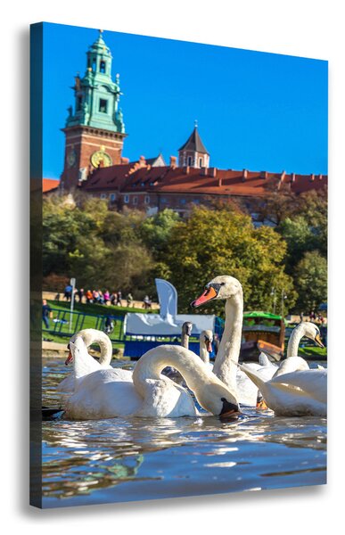 Tablouri tipărite pe pânză Cracovia, Polonia