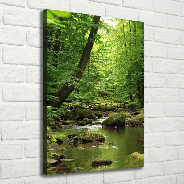 Tablou pe pânză canvas Râul în pădure