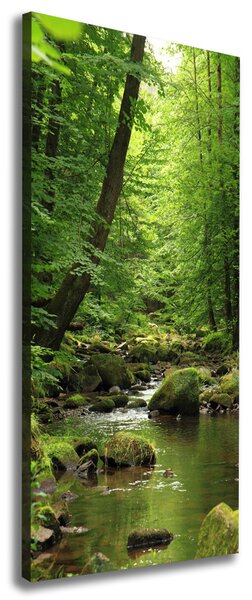 Tablou pe pânză canvas Râul în pădure