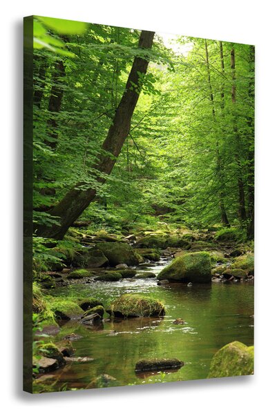 Tablou pe pânză canvas Râul în pădure