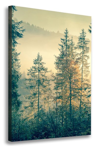 Pictură pe pânză Ceață peste pădure