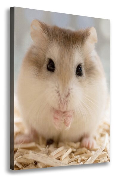 Imprimare tablou canvas Hamster