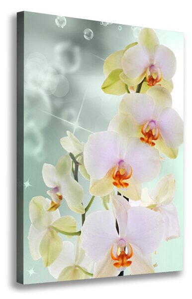 Tablou canvas Orhidee