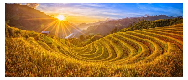 Tablou - Terasele de orez din Vietnam (120x50 cm)