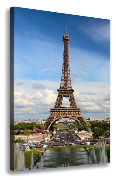 Tablou canvas Turnul Eiffel din Paris