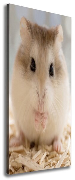 Imprimare tablou canvas Hamster
