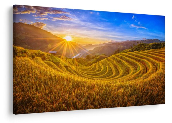 Tablou - Terasele de orez din Vietnam (90x60 cm)