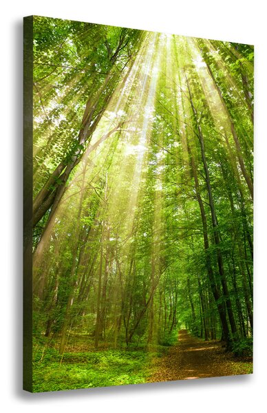 Pictură pe pânză Calea în pădure