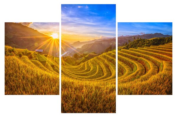 Tablou - Terasele de orez din Vietnam (90x60 cm)