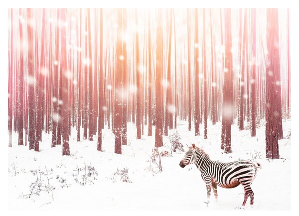 Tablou - Zebra în pădurea înzăpezită (70x50 cm)