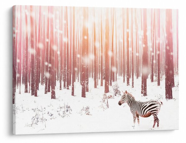 Tablou - Zebra în pădurea înzăpezită (70x50 cm)