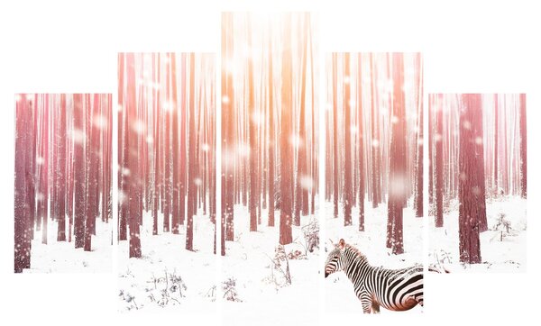 Tablou - Zebra în pădurea înzăpezită (150x105 cm)