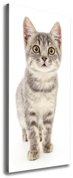 Imprimare tablou canvas pisică gri