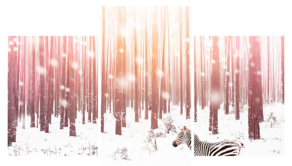 Tablou - Zebra în pădurea înzăpezită (90x60 cm)