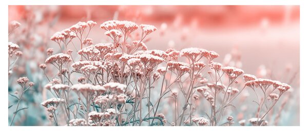 Tablou - Flori de câmp (120x50 cm)