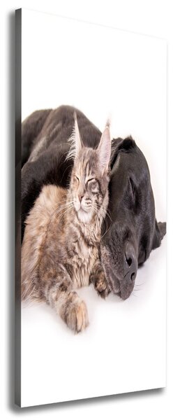 Tablou canvas Câine și pisică