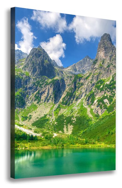 Tablou pe pânză Lacul în munți