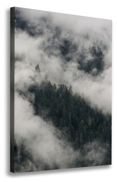 Tablou pe pânză canvas Cloud peste pădure